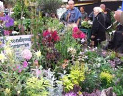 Tavistock Garden Festival