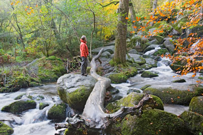 Beck Falls