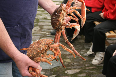 Crab at the Food Festival