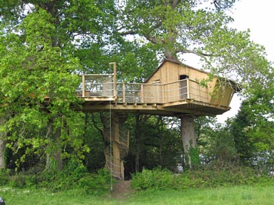 Tree House to Rent