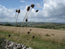 View from Kingston Towards Corfe Castle
