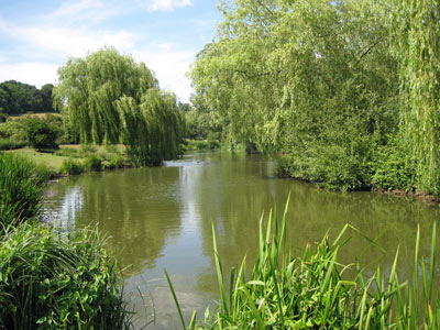 Fishing lake