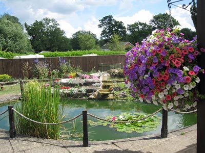 Pond at the barbecue terrace