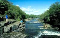 Take in the scenery in Wensleydale