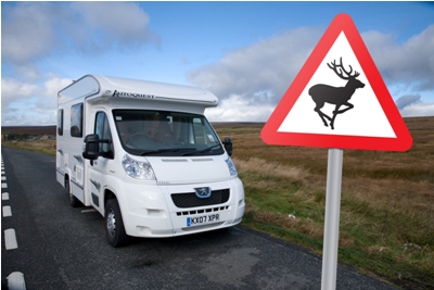 Warning Sign: Wild animals in the road