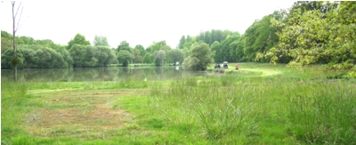 The picturesque lake beside the parc