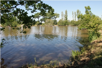 There is free fishing available at the lake