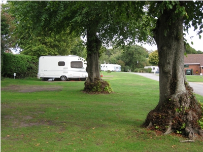 Mature trees around the site