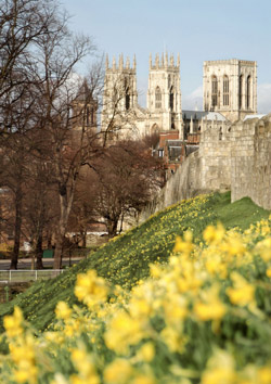 York City Walls looking towards the Minster