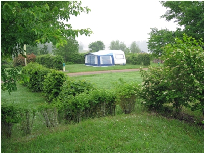 Tree and hedge lined pitches