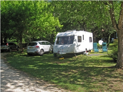 Many pitches have shade available