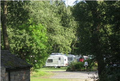 Mature trees are a site feature