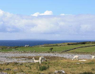 Ireland touring site