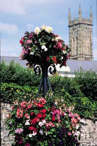 Barnstaple in Bloom