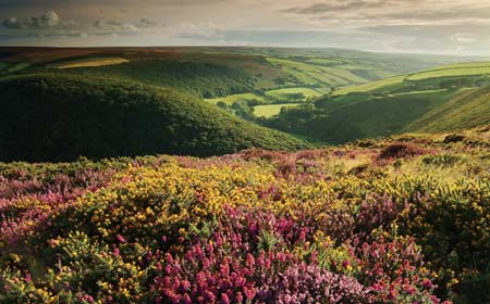 County Gate Exmoor Caravan