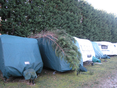 The fallen tree landed on Mike's caravan in storage 