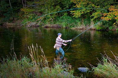 Enjoy discounted rates at Lowther Park in the Lake District! 