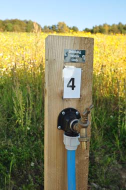 Fresh water on tap