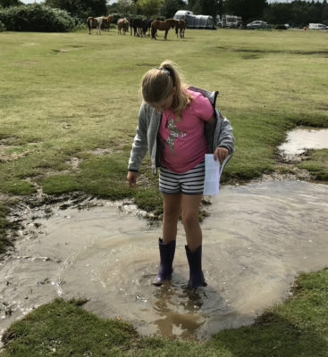 Muddy puddles on a rainy day