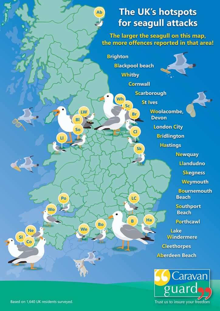 Seagull attack hotspots