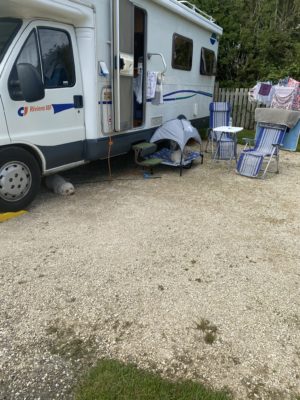 sun canopy for pets