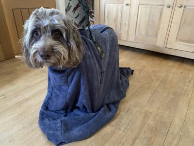 dog drying bag