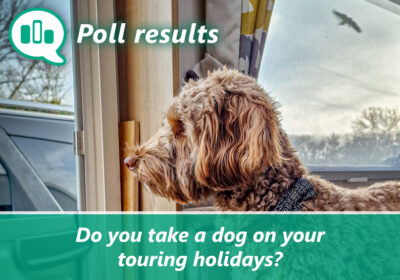 Dogs on tour! thumbnail