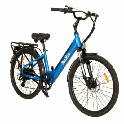RooDog Aurora e-bike