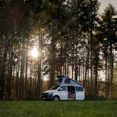 forest campervan stay